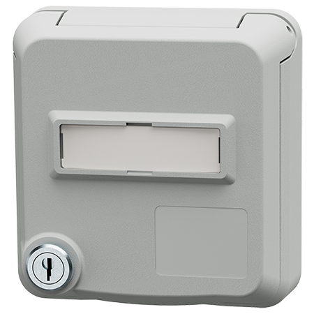 MENNEKES Cepex dataudtag med lås og tekstfelt, lysegrå 4662